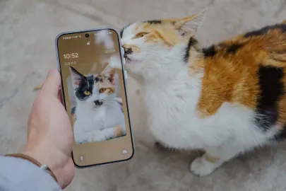 BetCart Kasino Mobilní aplikace